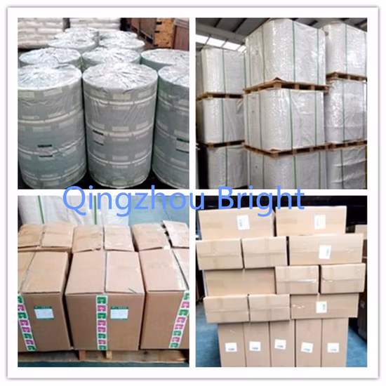 Métallisé/laminé/emballage/emballage/emballage/emballage composite/feuille d'aluminium/rouleau de papier pour tampon de préparation d'alcool